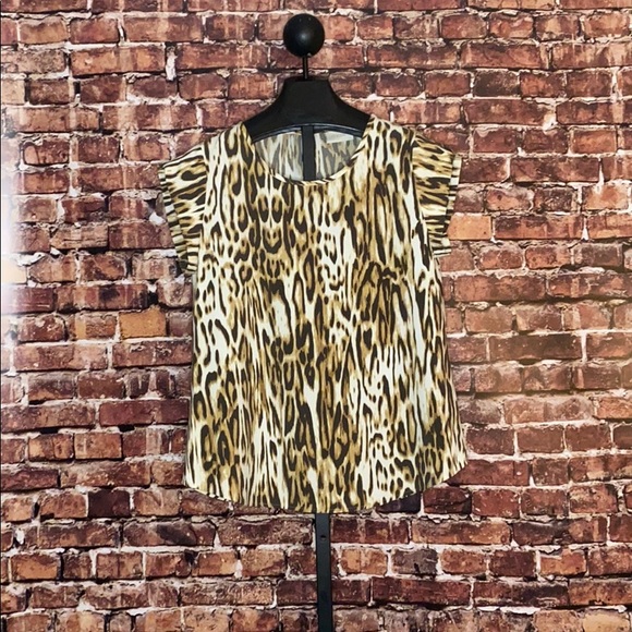 Chico’s- Animal print short sleeve top - Picture 1 of 1